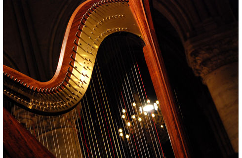 ハープ