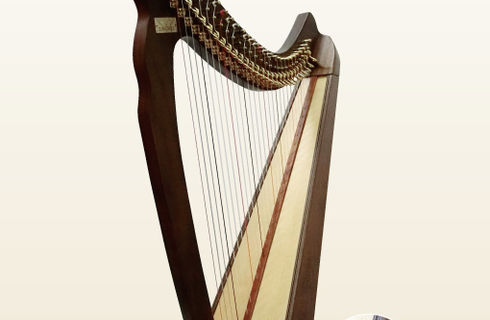 ハープ販売専門店のAngel Harpをご利用ください